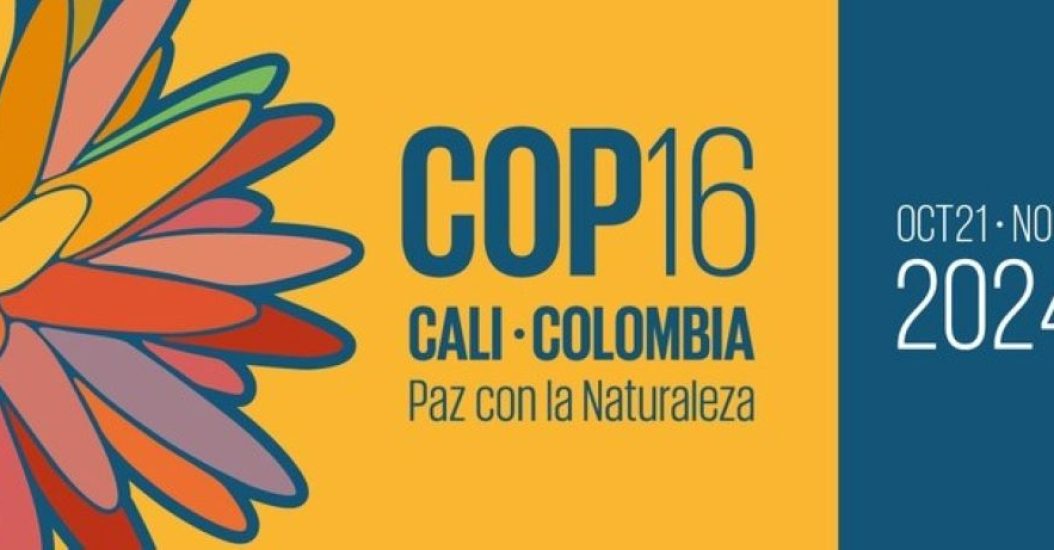 WhatsApp Image 2025-01-25 at 10.30.23 PM