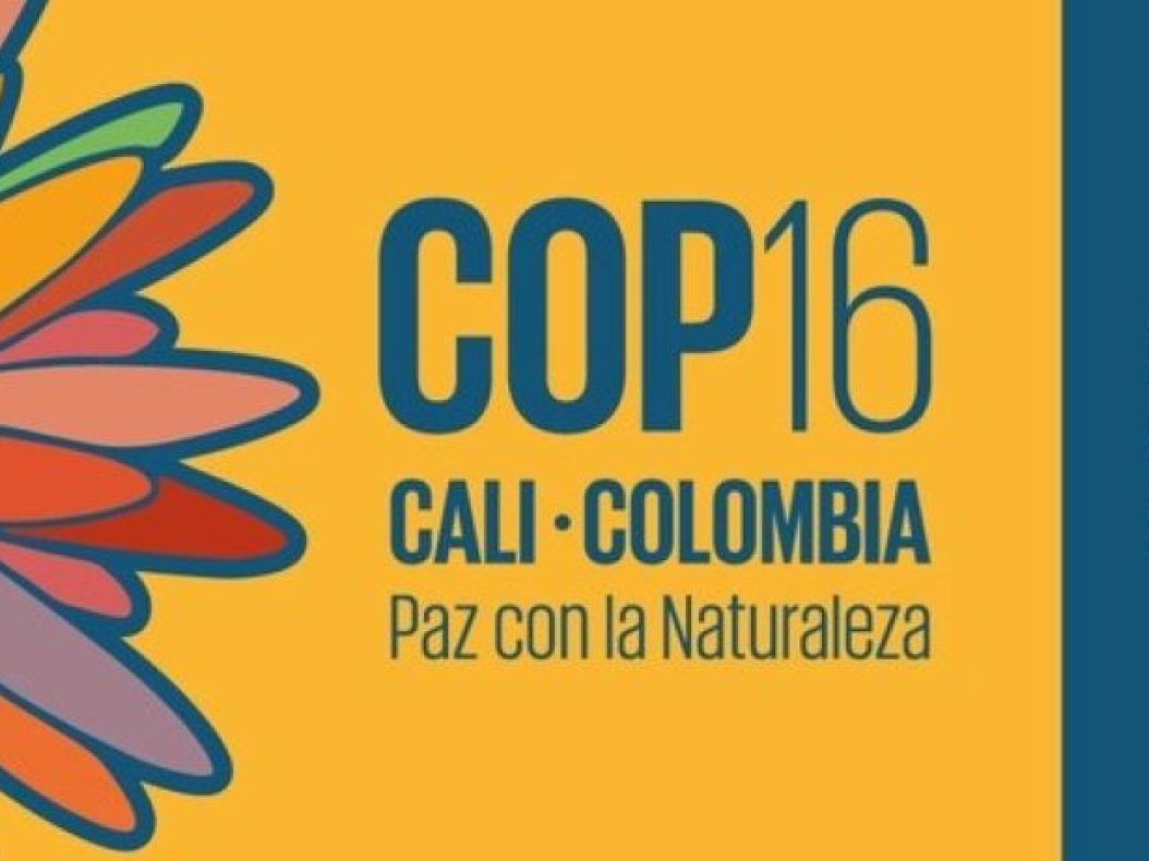 WhatsApp Image 2025-01-25 at 10.30.23 PM