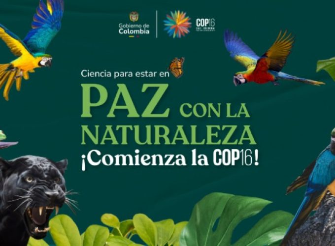 WhatsApp Image 2025-01-25 at 11.31.01 PM