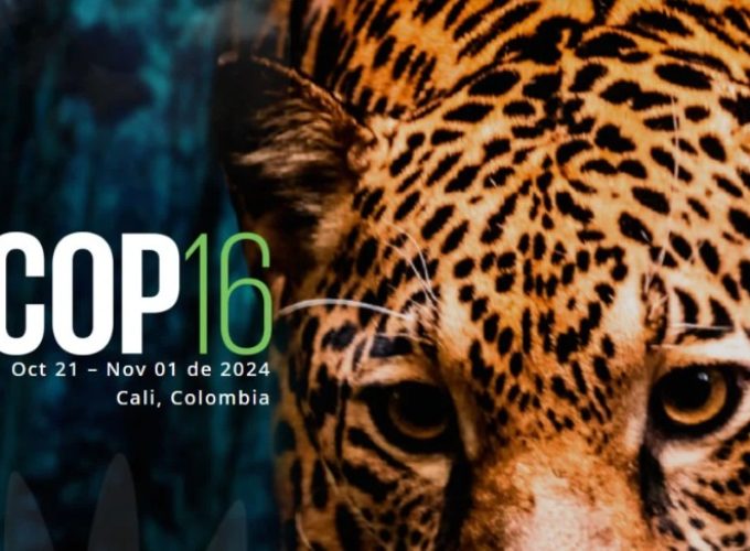 WhatsApp Image 2025-01-25 at 7.20.00 PM