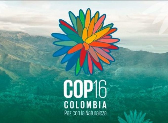 WhatsApp Image 2025-01-25 at 7.52.27 PM