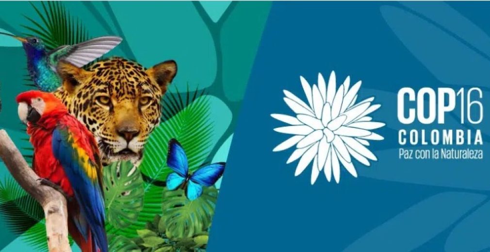 WhatsApp Image 2025-01-25 at 9.33.49 PM